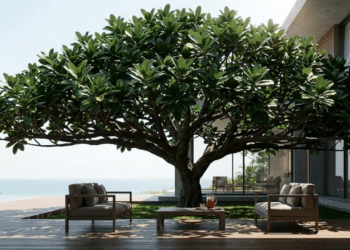 Mansão moderna com um Chapéu-de-Sol criando uma sombra densa e luxuosa no deck