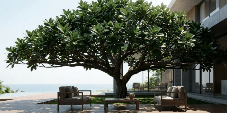 Mansão moderna com um Chapéu-de-Sol criando uma sombra densa e luxuosa no deck