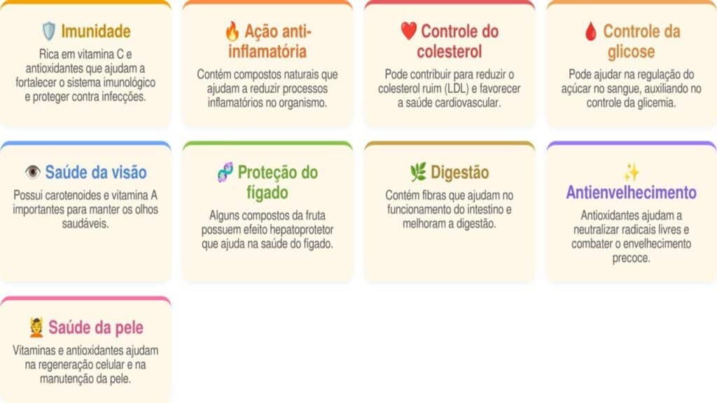 Physalis vai muito além de uma fruta exótica e revela benefícios terapêuticos impressionantes que podem melhorar sua saúde