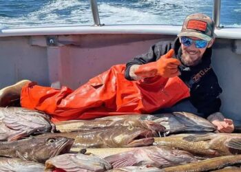 Todd Meadows - Foto: Reprodução/GoFoundMe