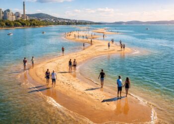 Bancos de areia no Guaíba chamam atenção, permitem 'andar sobre as águas' e podem dar origem a novas ilhas em Porto Alegre