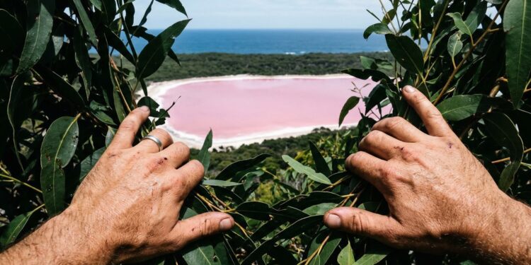 O lago que parece pintado de rosa intriga visitantes e cientistas em uma ilha remota da Austrália