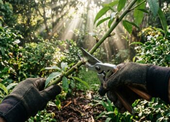 Errar a poda em março pode comprometer as flores do seu jardim em 2026 e enfraquecer as raízes no frio