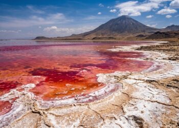 O lago que pode transformar animais em pedra intriga cientistas e visitantes na África