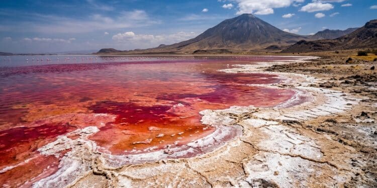 O lago que pode transformar animais em pedra intriga cientistas e visitantes na África