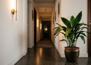 Três plantas perfeitas para o corredor de casa que têm pouca luz e valorizar a decoração