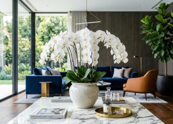 O segredo dos milionários está nas 3 plantas de luxo que elevam o nível da decoração de qualquer casa