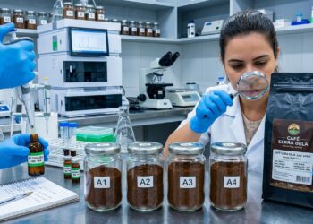 Marcas de café vendidas em supermercados são suspensas pela Anvisa por risco à saúde