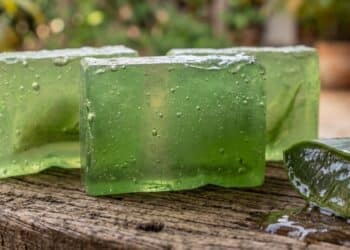 Receita de sabonete de babosa com 500g de glicerina e óleo de coco rende barras perfeitas para hidratar a pele seca