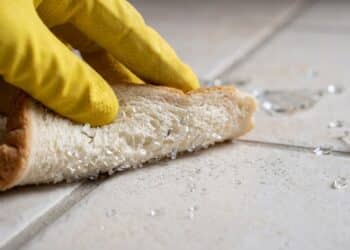 Nem pano seco, nem vassoura: o truque com pão de forma que ajuda a pegar cacos de vidro pequenos que a vassoura deixa para trás