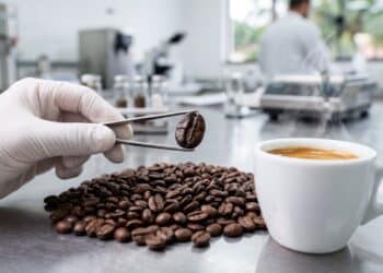 Anvisa suspende marcas populares de café no Brasil após riscos à saúde e acende alerta em supermercados