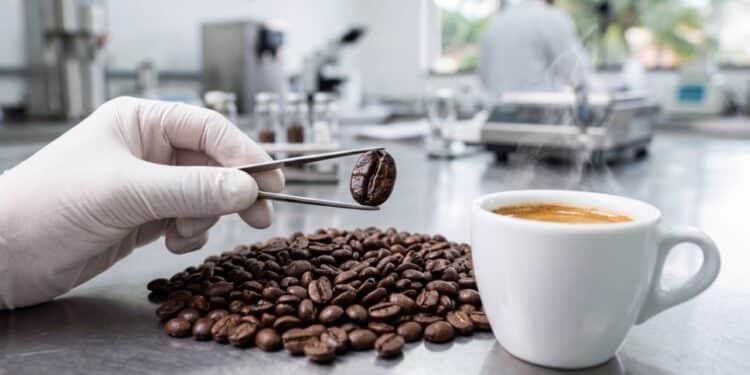 Anvisa suspende marcas populares de café no Brasil após riscos à saúde e acende alerta em supermercados