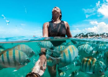 Jovem mergulhando na praia em Ipojuca no Porto de Galinhas - Créditos: depositphotos.com / la-nasser.hotmail.com