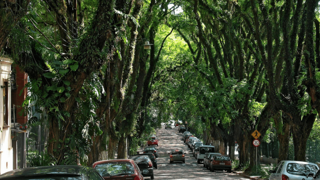 Com a rua mais bonita do mundo, essa cidade brasileira surpreende com beleza quase mística quem decide visitar