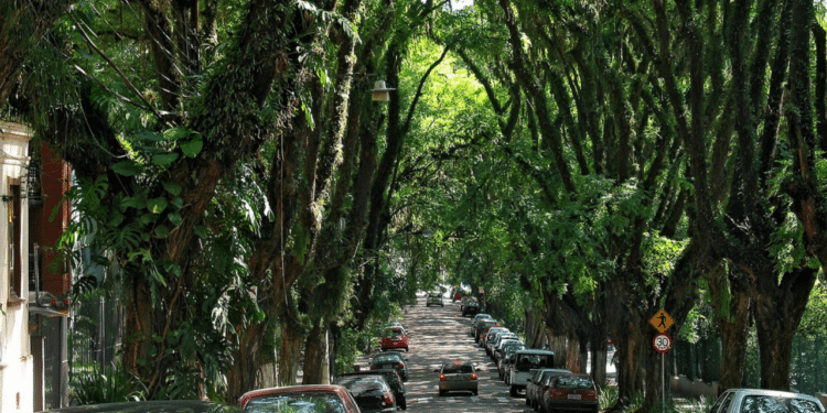 Com a rua mais bonita do mundo e pôr do sol inesquecível, essa capital gaúcha surpreende com beleza quase mística