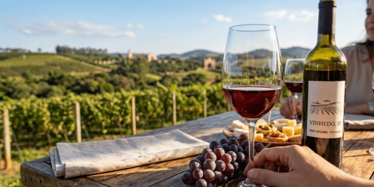 A terra do vinho a 1 hora de São Paulo que conquistou qualidade de vida e tradição com a uva