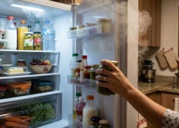 Abrir a geladeira toda hora pesa na conta de luz mais do que muita gente imagina