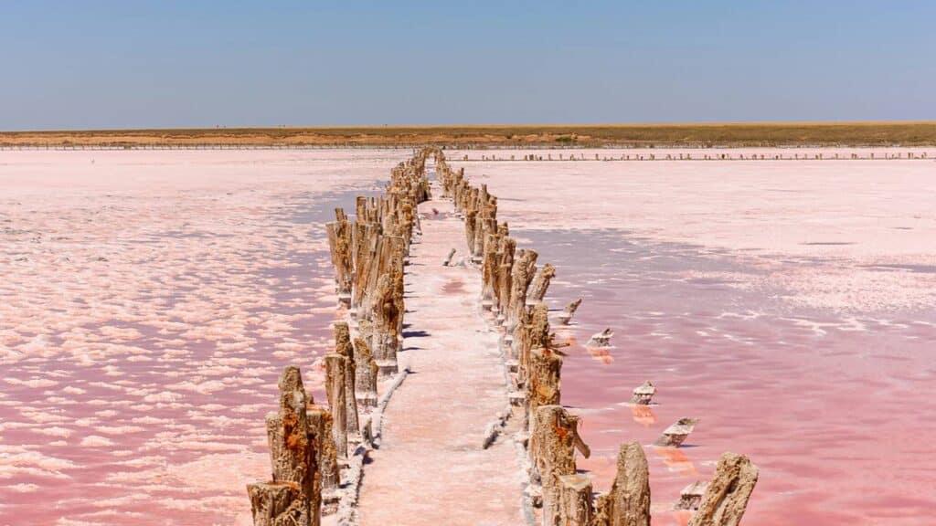 O lago que parece pintado de rosa intriga visitantes e cientistas em uma ilha remota da Austrália