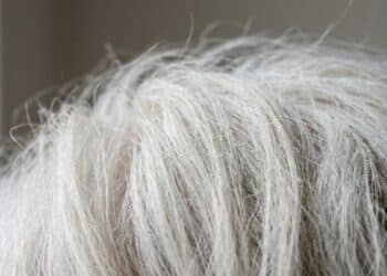 Cabelo branco ressecado: o truque do óleo leve que devolve maciez sem pesar