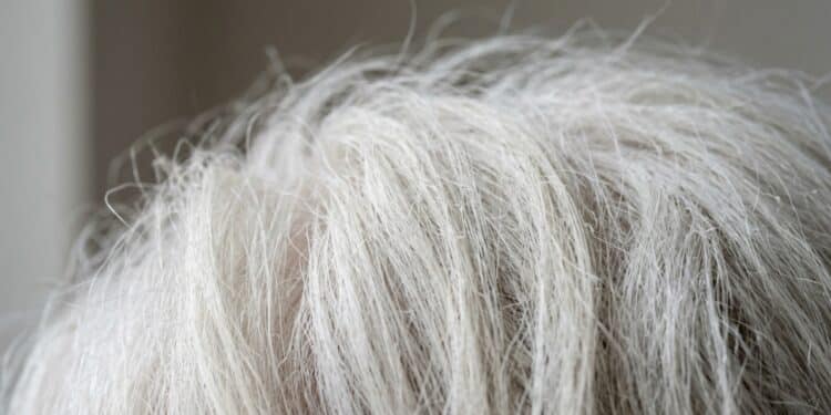 Cabelo branco ressecado: o truque do óleo leve que devolve maciez sem pesar