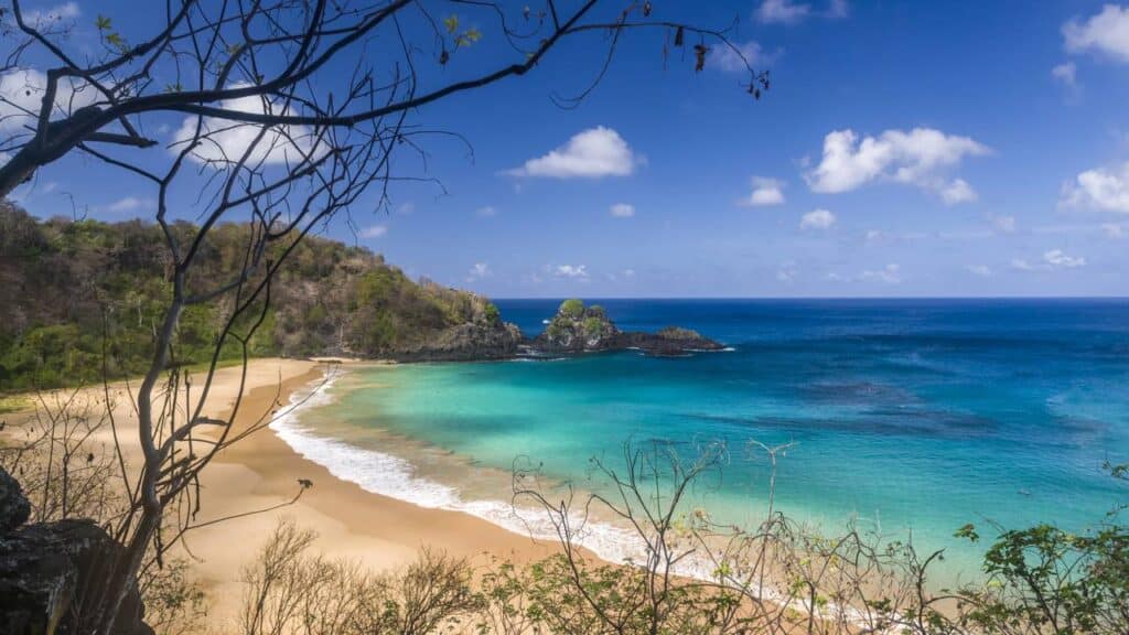 Créditos: depositphotos.com / contato@caciomurilo.com.br