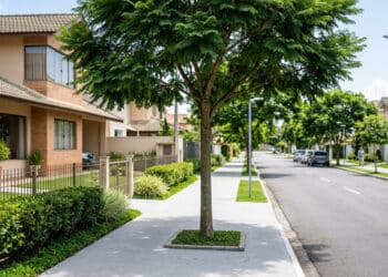 6 tipos de árvores que você não deve plantar em frente à sua casa