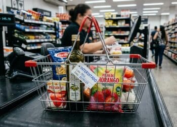 Anvisa reprova azeite, polpa de fruta, champignon e molho de alho por excesso de conservantes