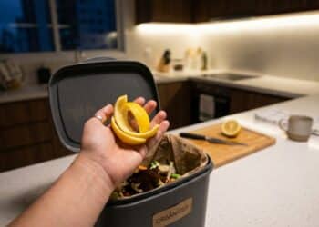 Colocar casca de limão na lixeira antes de dormir: para que serve e por que virou tendência