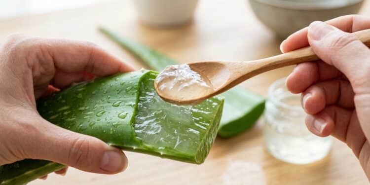 Fórmula caseira de gel facial com aloe vera puríssima garante pele firme e exuberante em 30 dias
