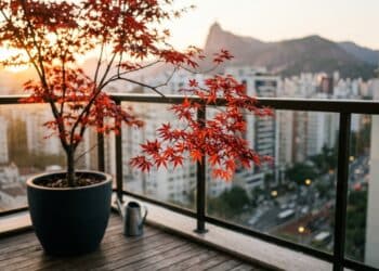 A árvore que muda de cor o ano todo e cresce bem em varandas pequenas sem cansar a decoração