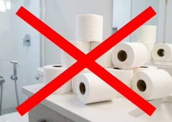 Adeus ao papel higiênico: descobriram forma certa de limpar o ânus