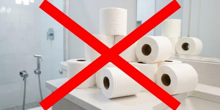 Adeus ao papel higiênico: descobriram forma certa de limpar o ânus