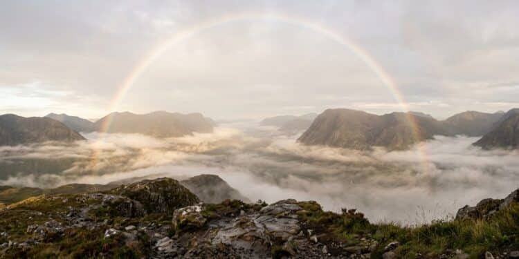 Parece um arco-íris apagado no céu: o fenômeno raro que surge quando luz e névoa se alinham do jeito certo