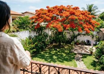 Transforme seu jardim com as 7 árvores de crescimento rápido que trazem frescor agora