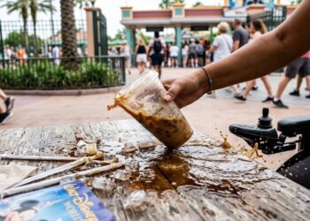 Confusão na Disney termina com brasileira presa por agredir idosa cadeirante com café