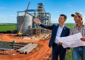 Maior complexo de soja do Brasil será construído em Mato Grosso com investimento de R$ 2 bilhões de empresa gigante chinesa e expansão deve elevar o processamento para 10 mil toneladas diárias