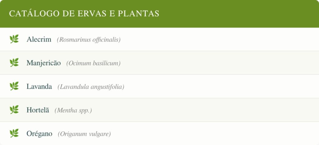 plantas aromáticas