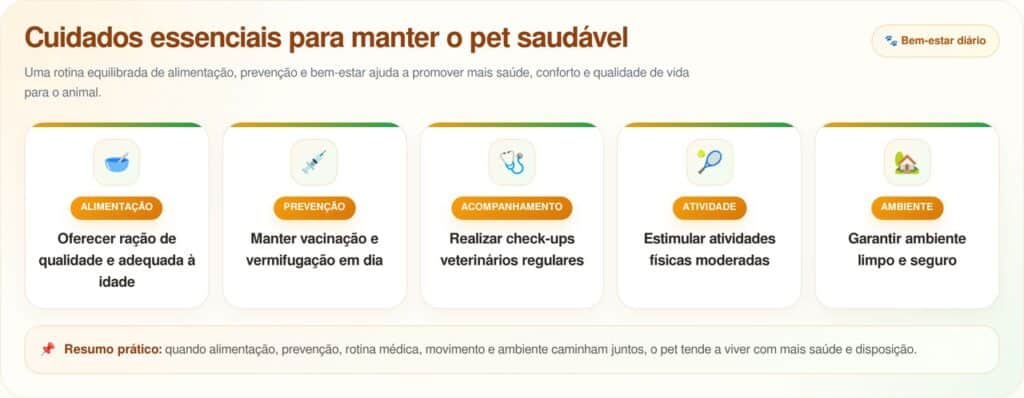 Raças de cães que vivem mais anos, segundo especialistas em veterinária