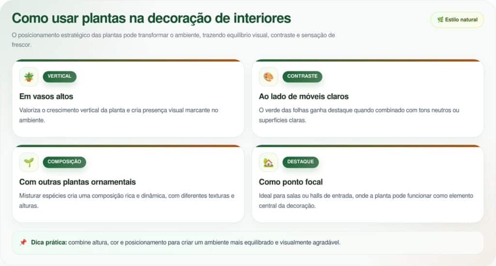 5 plantas com cores vibrantes e diferentes para dar vida a ambientes neutros