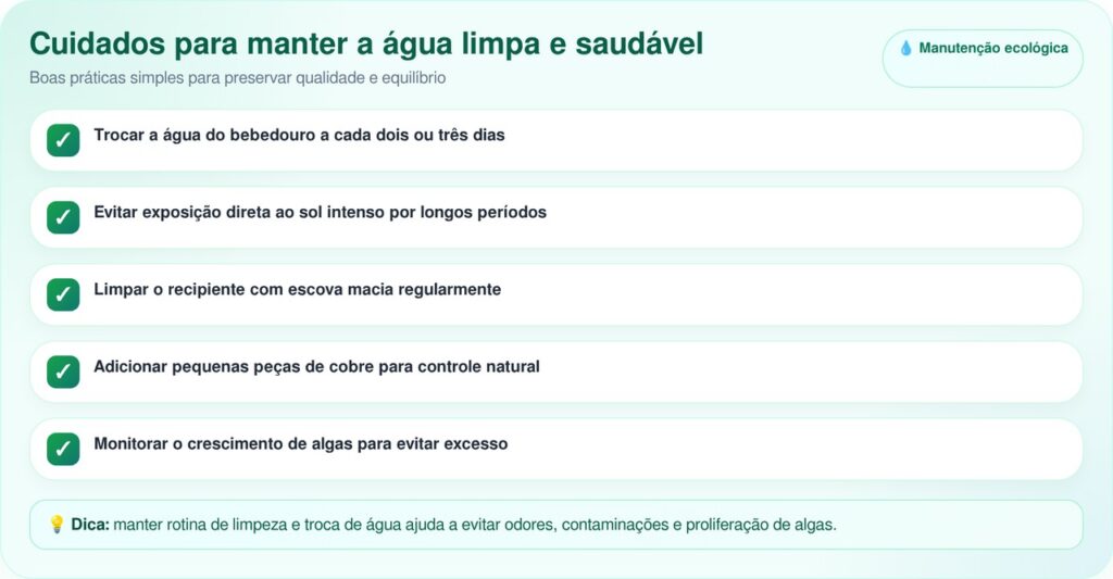 Se você tem um bebedouro para pássaros é aconselhado a colocar um item natural dentro dele