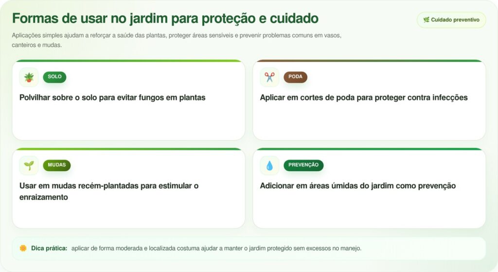 Espalhar canela em pó em vasos de plantas e no jardim, para que serve e por que jardineiros recomendam