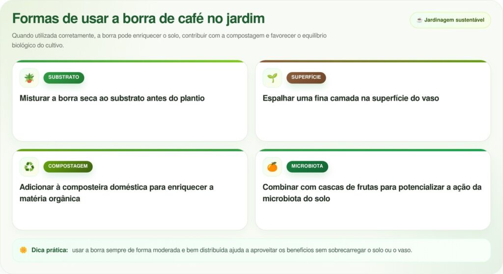 Enterrar borra de café nos vasos e na terra do jardim, para que serve e por que melhora o solo