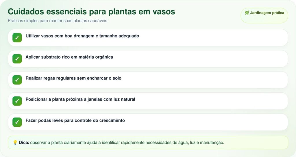 O pé de fruta pouco conhecido que não faz sujeira e é ideal para cultivar em apartamento