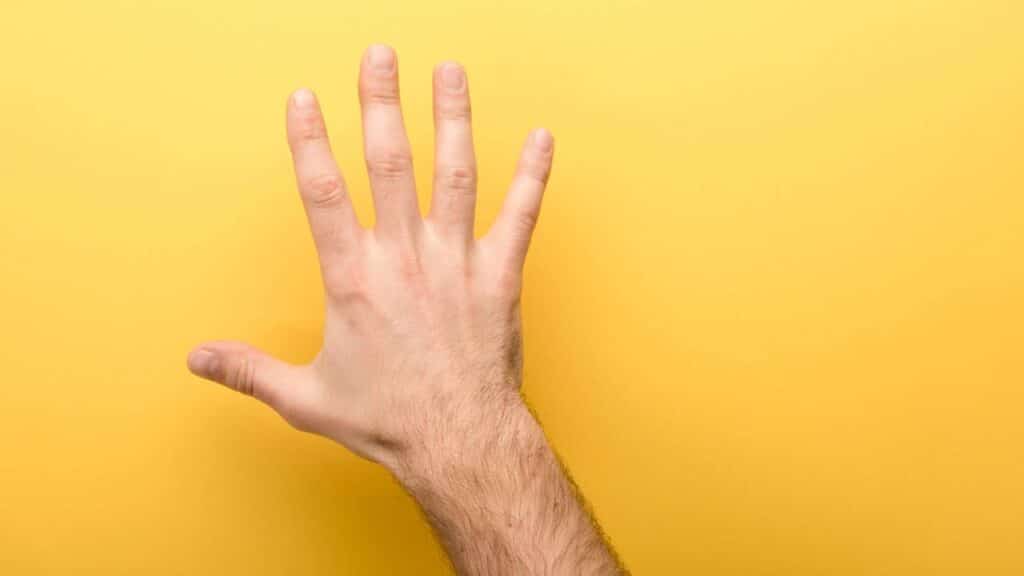 Observe sua mão: o que o comprimento dos seus dedos pode revelar sobre você e por que um tamanho específico importa