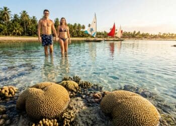 Este paraíso escondido em Alagoas abriga um aquário natural com águas mais límpidas que o Caribe - Imagem ilustrativa