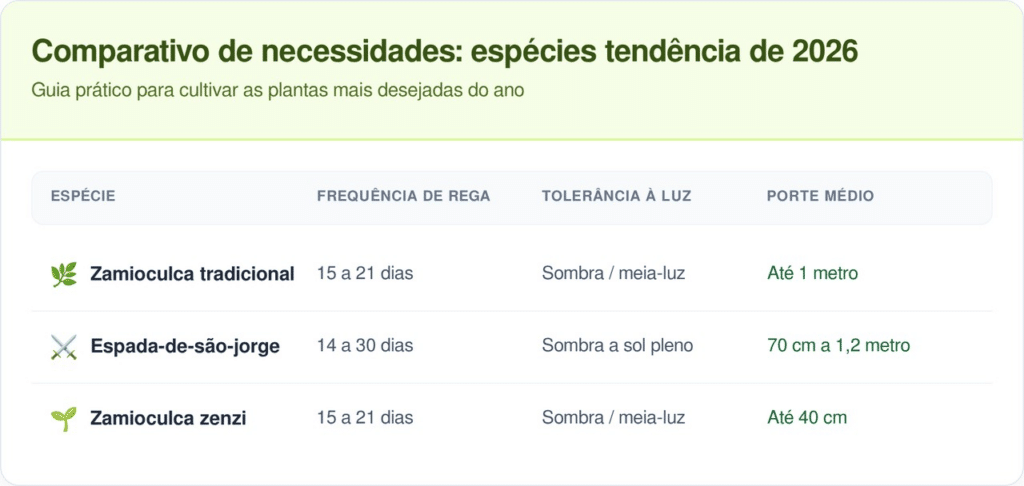 São plantas resistentes, mas evite excesso de água. Só regue quando o solo estiver seco.