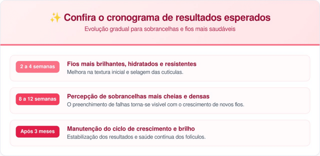 A constância no uso diário é fundamental para atingir as metas descritas no cronograma