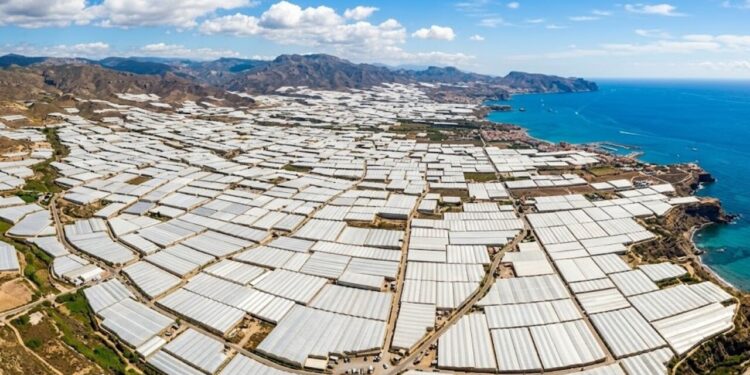 A construção gigantesca na Espanha que pode ser vista do espaço e rivaliza com Pirâmides e Muralha da China em escala e curiosidade