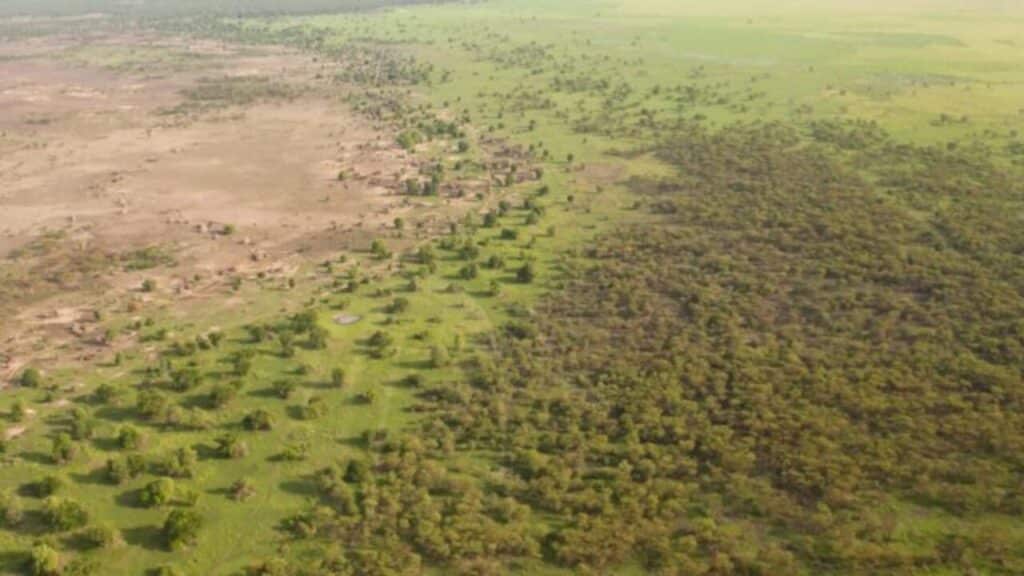 O megaprojeto da 'grande muralha verde' da África que reúne 20 países em esforço bilionário para frear o avanço do deserto do Saara