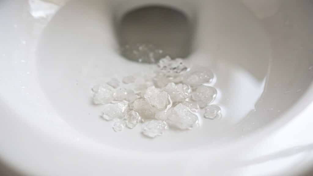 Falta de limpeza profunda no sifão do vaso atrai insetos e pode ser resolvida com uma aplicação simples de sal grosso